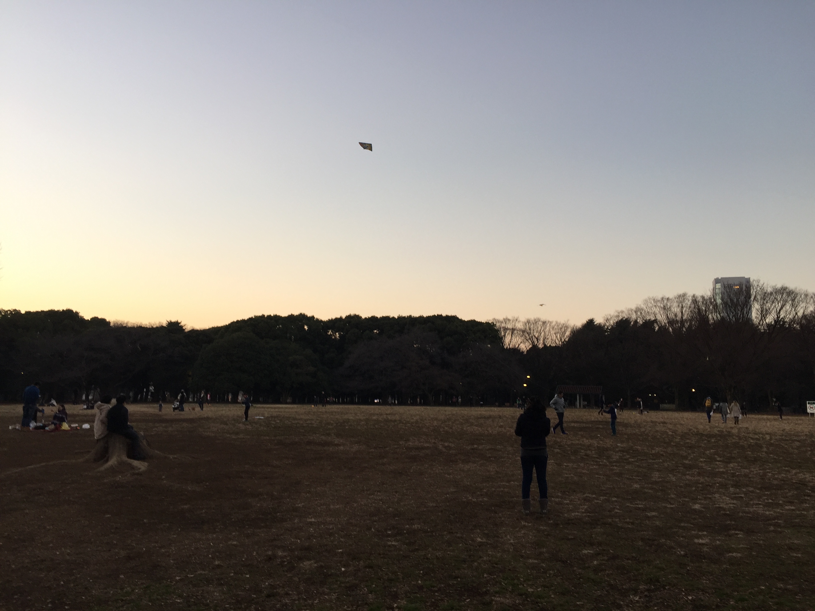 明日から診療を開始します