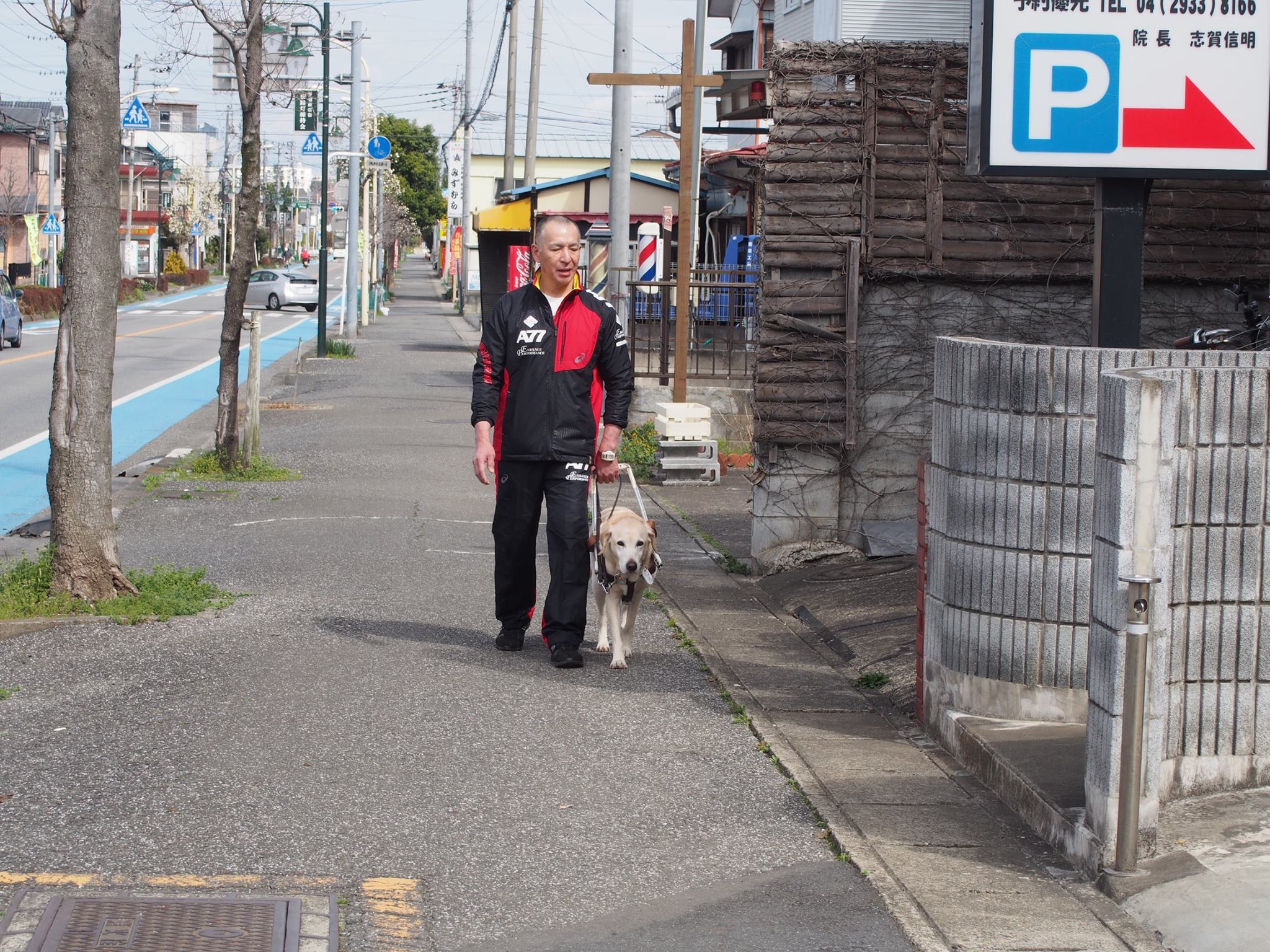 さようなら！　トリトン